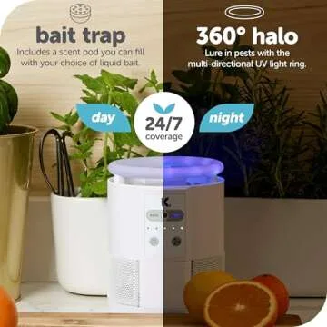 Katchy Duo Indoor Insect Trap for Indoor Pests