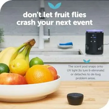 Katchy Duo Indoor Insect Trap for Indoor Pests