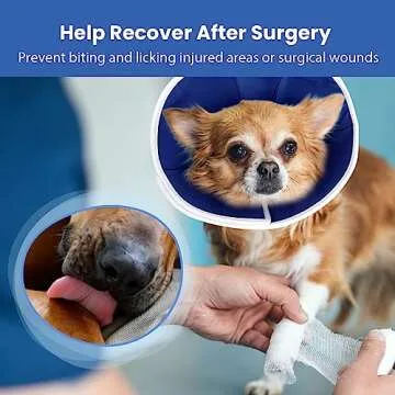 BARKLESS Dog Cone for Large Dogs - Soft Recovery Collar