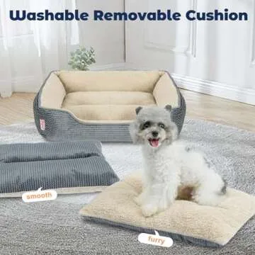 Miguel Washable Cat Beds for Indoor Cats with Removable Cushion/Pillow, Easy to Wash Small Dog Bed w...