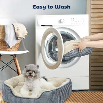 Miguel Washable Cat Beds for Indoor Cats with Removable Cushion/Pillow, Easy to Wash Small Dog Bed with Side, Large Rectangle Kitten Bed Cuddle Puppy Bed with Anti-Slip Bottom, Gray 20 Inch