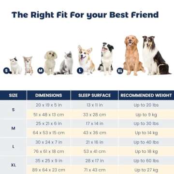 Miguel Washable Cat Beds for Indoor Cats with Removable Cushion/Pillow, Easy to Wash Small Dog Bed with Side, Large Rectangle Kitten Bed Cuddle Puppy Bed with Anti-Slip Bottom, Gray 20 Inch