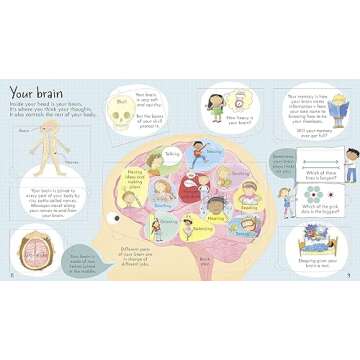 Look Inside Your Body