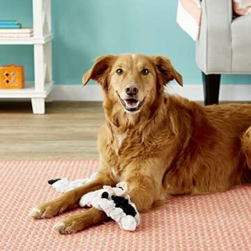 SPOT Skinneeez Crinklers The Stuffless Crinkle Dog Toy with Squeaker For All Dogs Tug-Of-War Toy For Small and Large Breeds Squeak Toy for Dogs -Goat - Large