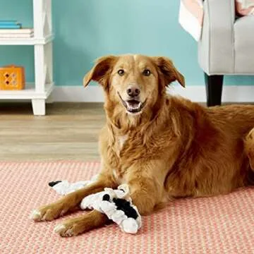 SPOT Skinneeez Crinklers The Stuffless Crinkle Dog Toy with Squeaker For All Dogs Tug-Of-War Toy For Small and Large Breeds Squeak Toy for Dogs -Goat - Large