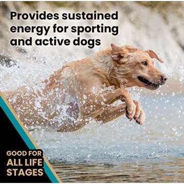 VICTOR Hi-Pro Plus Dog Food – 30% Protein, Gluten Free