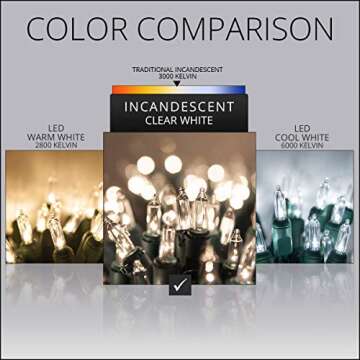 Kringle Traditions Clear Net Lights, Christmas Lights Outdoor Net, Outdoor Decorative Lights Christmas Net Lights on Green Wire (4’x 6’ net, 150 Lights, Clear)