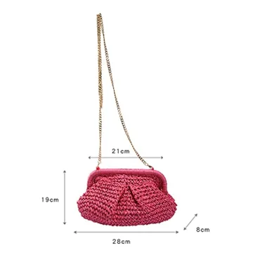 Stylish Molodo Women Straw Crossbody Clutch Purse