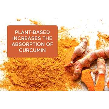 Smarter Nutrition Curcumin Softgels - Potent & Bioavailable, Standardized to 95% Tetrahydrocurcuminoids with Black Seed Oil & Ginger for Joint & Immune Health - 60 Count - 30-Day Supply