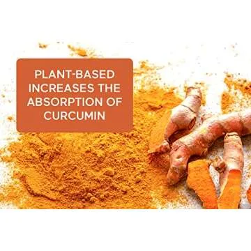 Smarter Nutrition Curcumin Softgels - Potent & Bioavailable, Standardized to 95% Tetrahydrocurcuminoids with Black Seed Oil & Ginger for Joint & Immune Health - 60 Count - 30-Day Supply