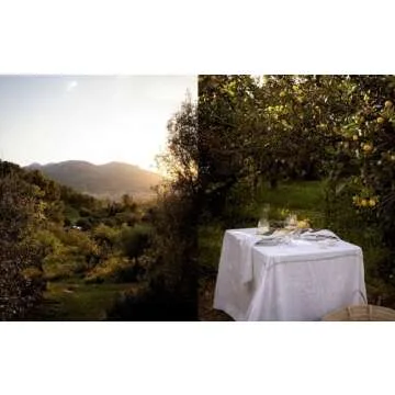 The Artful Way to Plant-Based Cooking: Nourishing Recipes and Heartfelt Moments (A Cookbook)