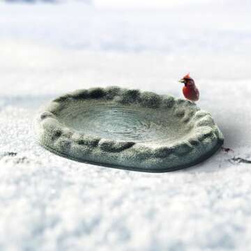 Farm Innovators Heated Birdbath for Year-Round Outdoor Fun