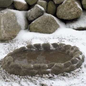 Farm Innovators Heated Birdbath for Year-Round Outdoor Fun