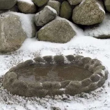 Farm Innovators Heated Birdbath for Year-Round Outdoor Fun