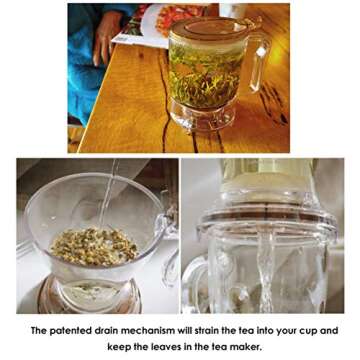 HandyBrew Loose Leaf Tea Infuser Brewer for Hot and Iced Tea