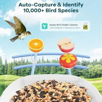 Asuka Bird Feeder Camera - 1080P HD & Solar Powered