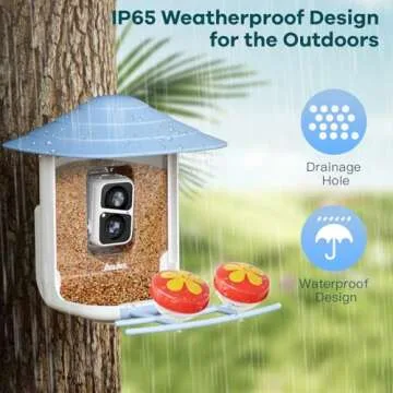 Asuka Bird Feeder Camera - 1080P HD & Solar Powered
