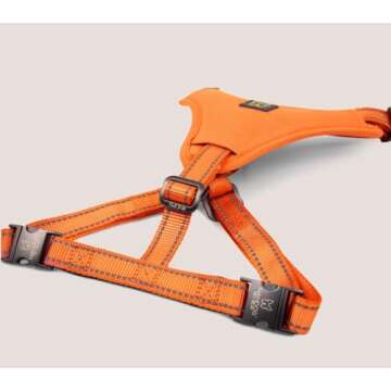 NANDOG Neoprene Sport Dog Harness - Comfort & Style