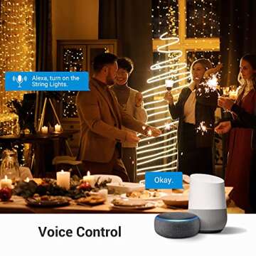 DEWENWILS WiFi Smart Yard Stake Plug for Outdoor Use