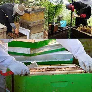 REAMTOP 2 Pcs Bee Hive Scraper Tool Bee Hive Frame Lifter and Scraper for Beekeepers…