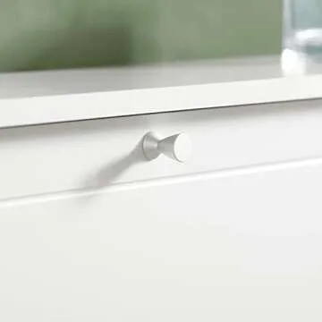 Stylish Haotian Shoe Cabinet with 2 Flip-Drawers in White