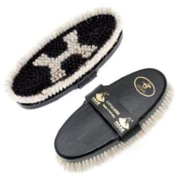 Haas 4025589206304 Cavaliere for women made of horsehair with longer bristle edge and leather hand strap, size 200 x 85 mm, the brush back is black.