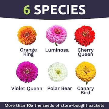 Zinnia Seeds - California Giants Mix - Large 1 Ounce Packet - 3,000 Flower Seeds - Mixed Colors and Large Blooms