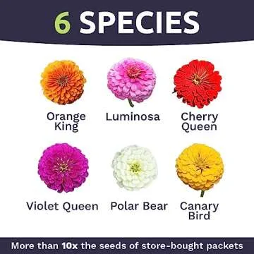 Zinnia Seeds - California Giants Mix - Large 1 Ounce Packet - 3,000 Flower Seeds - Mixed Colors and Large Blooms