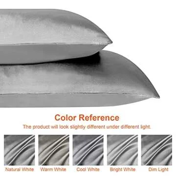 EHEYCIGA Satin Pillowcase Queen Set of 2, Soft Pillowcases for Hair and Skin Similar to Silk, Silver Grey Pillow Cases 2 Pack with Envelope Closure, 20X30 Inches