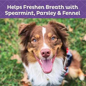 Old Mother Hubbard Minty Fresh Dog Treats for Breath