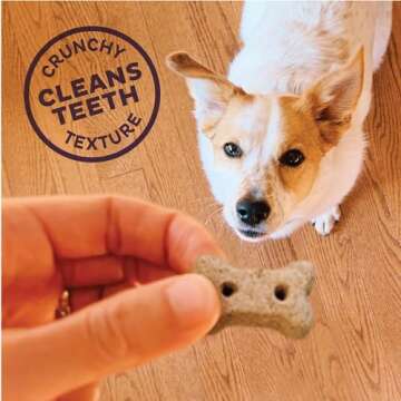 Old Mother Hubbard Minty Fresh Dog Treats for Breath