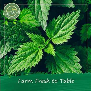 Eat Well Premium Foods Nettle Leaf Tea Bags, 100 bags Bulk Size 4.4 oz, 100% Natural Nettle Leaves Tea, Tea for Home or Office, Herbal Tea Bags, Herbal Tea Gift, 100 Herb Tea Bags in Re-Sealable Pack