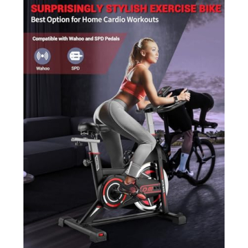 DMASUN Exercise Bike for Quiet Home Workouts