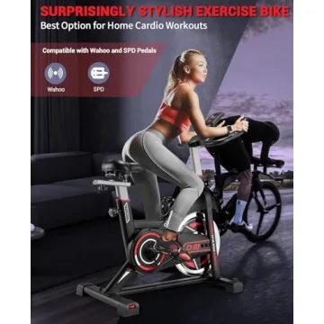 DMASUN Exercise Bike for Quiet Home Workouts