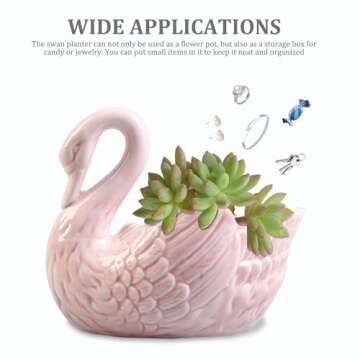 Meyrwoy Swan Succulent Plant Pot - Elegant Home Decoration