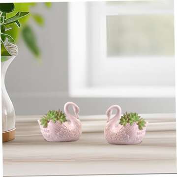 Meyrwoy Swan Succulent Plant Pot - Elegant Home Decoration