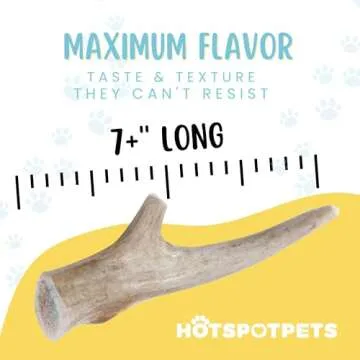 Hotspot Pets Premium Deer Antlers for Dogs - Large 2 Pack