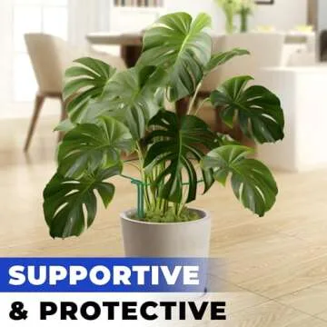 12 Pack Tall Snake Plant Support Stakes – 10" W x 24" H Half Round Peony Cages and Supports for Indoor and Outdoor Plants – Plant Cage Ring Support for Flower - Peony, Tomato, Hydrangea, Rose Bush