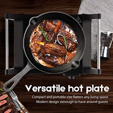 Techwood Hot Plate 1500W Portable Electric Stove for All Cookware