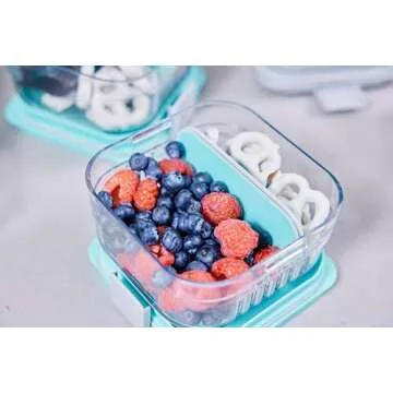 PackIt Mod Snack Bento Container with Leak-proof Dividers