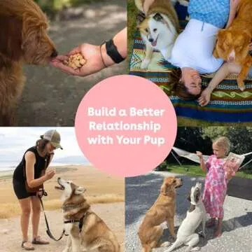 Pupford Freeze Dried Training Treats for Dogs & Puppies, 475+ Two Ingredient Bites (Salmon, 4 oz)