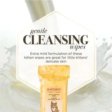 Burt's Bees for Pets Kitten Wipes with Buttermilk, 98% Natural Origin Formulas, Cat Wipes, Cat Grooming Supplies, Cat Cleaning Wipes, Waterless Cat Grooming, 50ct