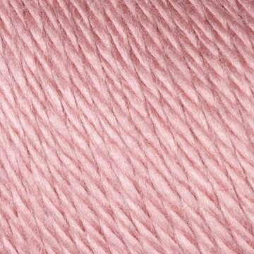 Caron Simply Soft Solids Yarn, Medium Gauge 100% Acrylic - 6 oz - Victorian Rose - Machine Wash & Dr...