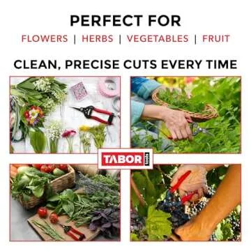TABOR TOOLS K7A Straight Pruning Shears with Carbon Steel Blades, Florist Scissors, Multi-Tasking Garden Snips for Arranging Flowers, Trimming Plants and Harvesting Herbs, Fruits or Vegetables.
