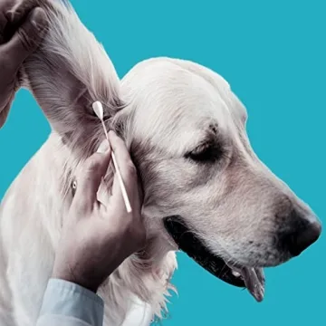 6 Inch Cotton Swabs for Dogs,100 Pack of Eco-Friendly Ear Cleaners