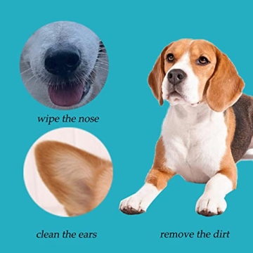 6 Inch Cotton Swabs for Dogs,100 Pack of Eco-Friendly Ear Cleaners