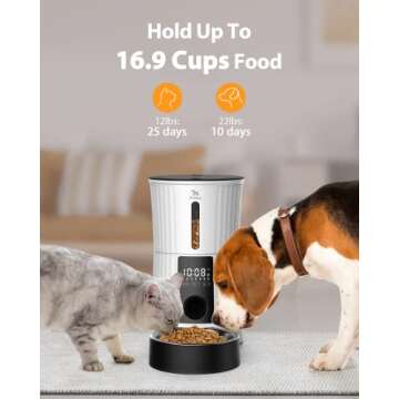 Petory Timed Automatic Cat Feeders - 4L Programable Dry Food Dispenser for Cats and Small Medium Dogs 6 Meals with Desiccant Bag Dual Power Supply 10S Voice Recorder