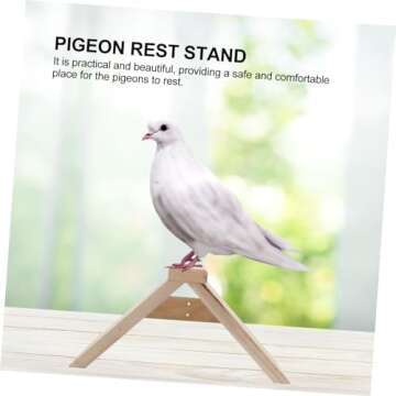 Balacoo 2pcs Wooden Pigeon Perches - Durable Bird Rest Stands