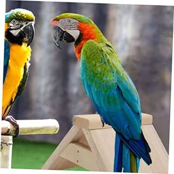 Balacoo Wooden Dove Rest Stand for Pigeons and Birds