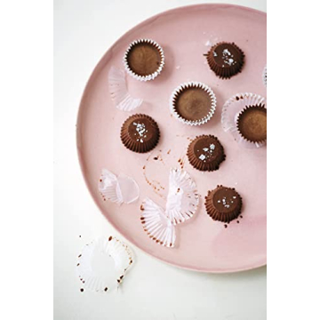 Navitas Organics Cacao+ Blend with Reishi for Longevity